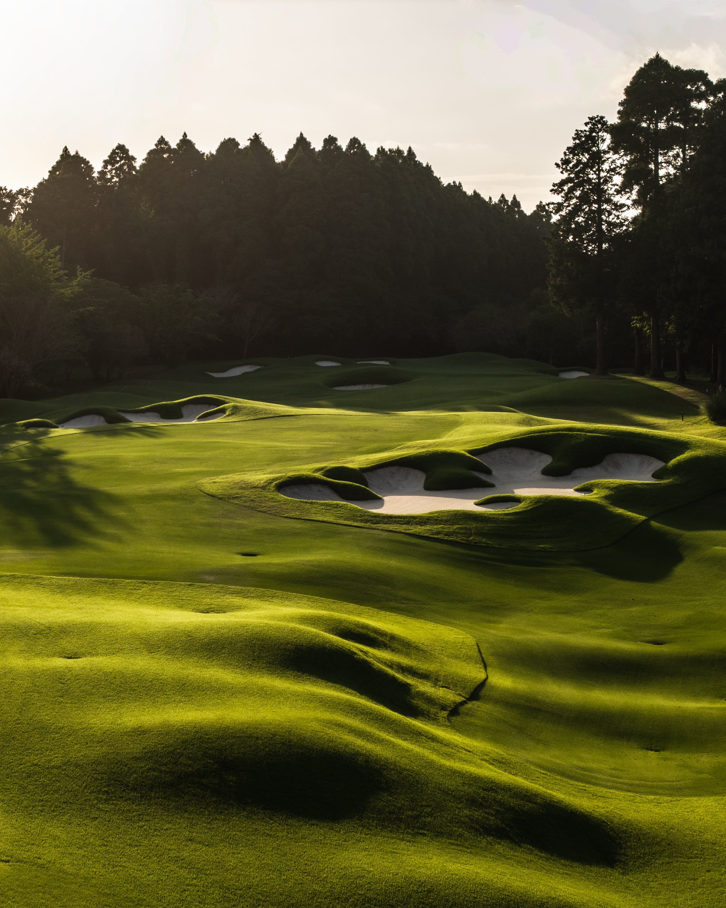 Caledonian Golf Club - March 2nd